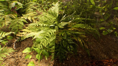 2022年11月商城精选免费内容-虚幻X爱好者